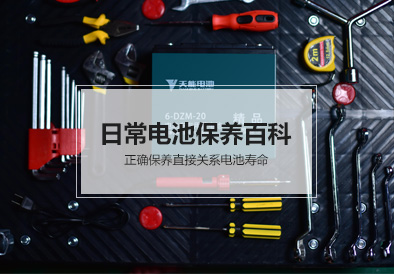 美狮贵宾会电池