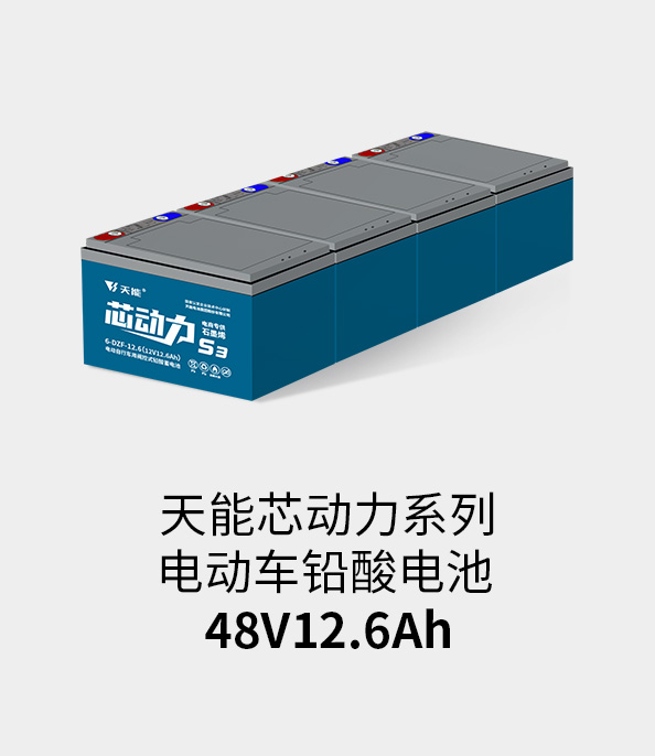 美狮贵宾会电池48v12ah