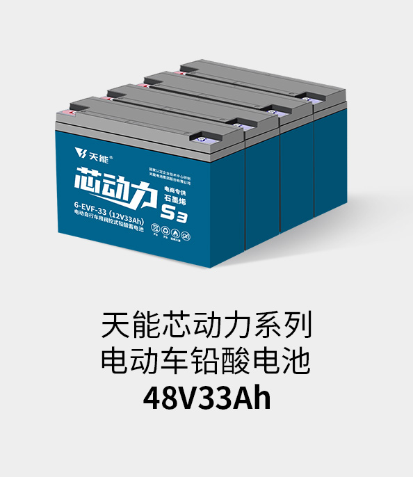 美狮贵宾会电池48v32ah