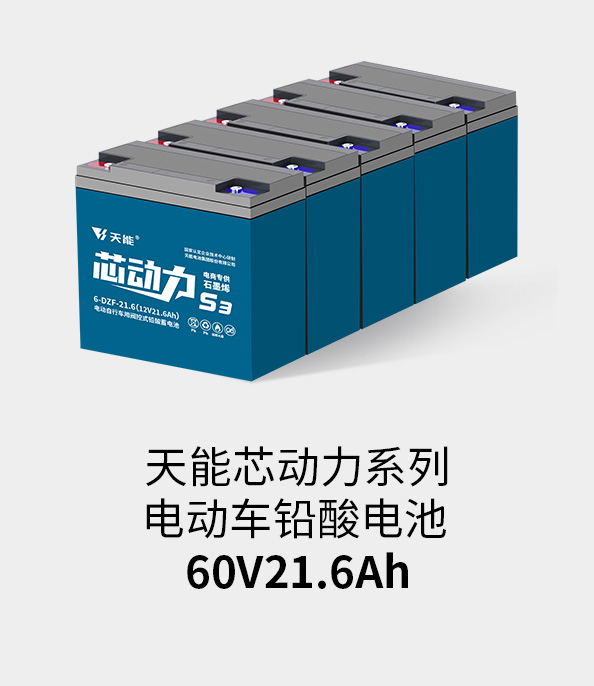 美狮贵宾会电池60v20ah