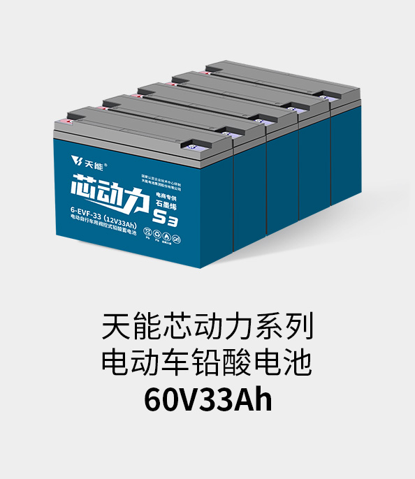 美狮贵宾会电池60v33ah