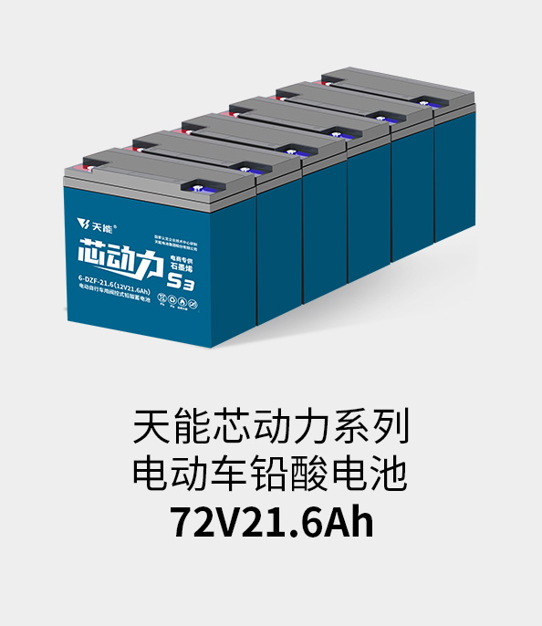 美狮贵宾会电池72v20ah