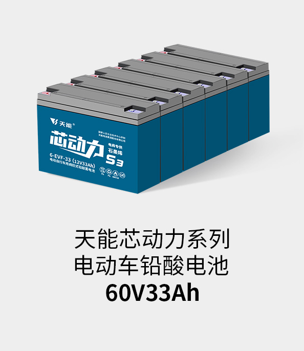 美狮贵宾会电池72v33ah