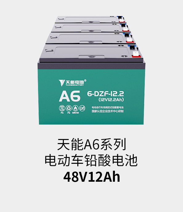 美狮贵宾会电池48v12ah