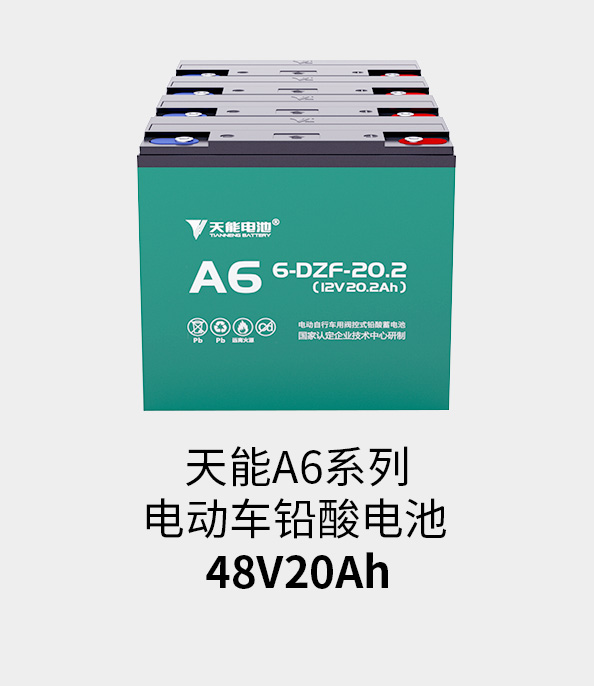 美狮贵宾会电池48v20ah