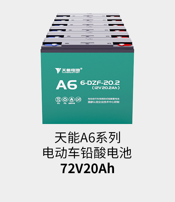 美狮贵宾会电池72v20ah