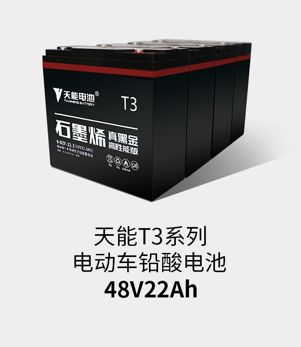 美狮贵宾会T3系列48v22ah