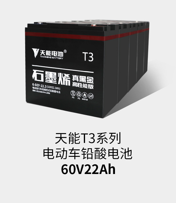 美狮贵宾会T3系列60v22ah
