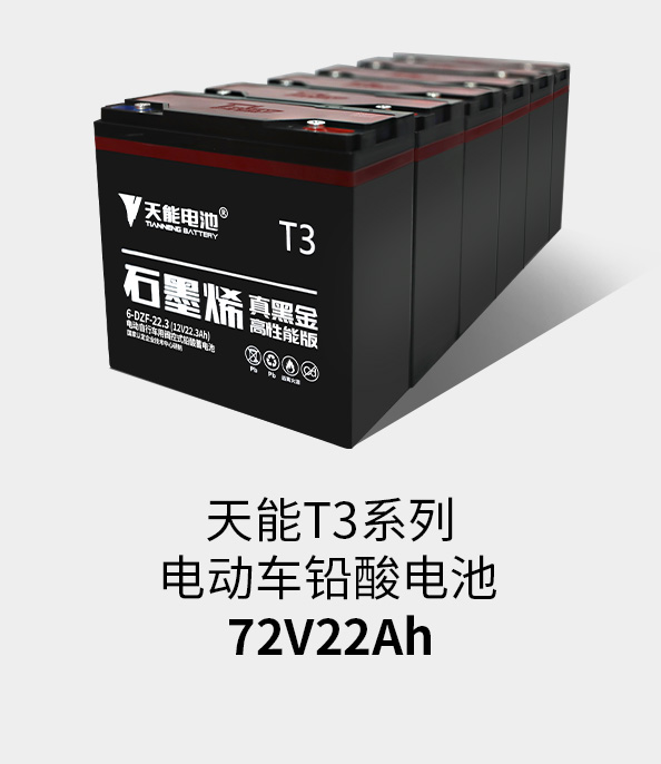 美狮贵宾会T3系列72v22ah