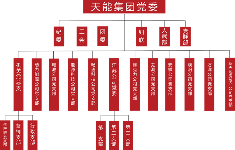 美狮贵宾会建团党委组织架构
