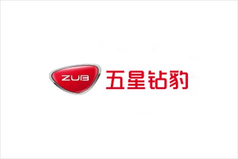 美狮贵宾会电池合作伙伴 五星钻豹电动车